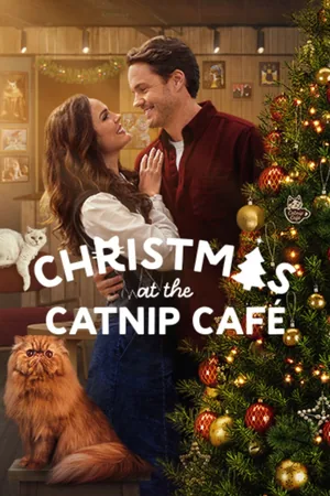Christmas at the Catnip Café