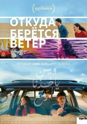 Откуда дует ветер